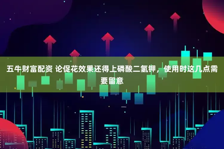 五牛财富配资 论促花效果还得上磷酸二氢钾，使用时这几点需要留意
