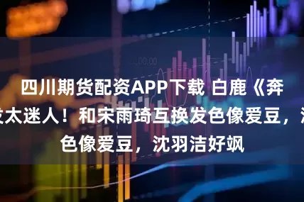 四川期货配资APP下载 白鹿《奔跑吧》金发太迷人！和宋雨琦互换发色像爱豆，沈羽洁好飒